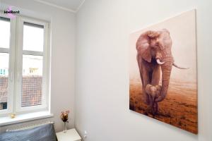 MMRent Elephant Room