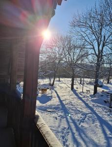 Cabana Mădălin&George