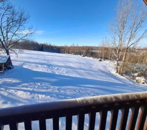 Cabana Mădălin&George