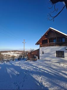 Cabana Mădălin&George