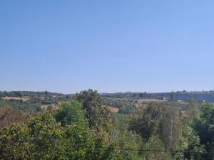 Cabana Mădălin&George