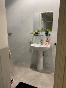 Luxury Apartment Near The Airport