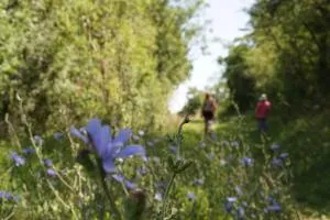 Hôtel plein air - Privatisation possible - Coutansouze