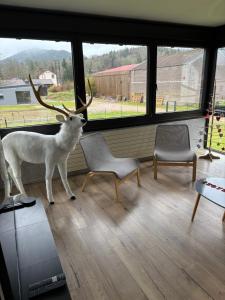 Maisons de vacances Gite 205 m2, 8pers piscine, jacuzzi, balneo privatifs : photos des chambres