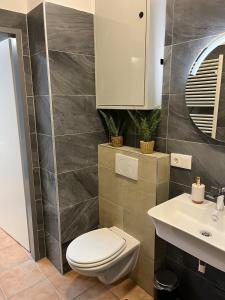 Spacious Apartment in Vienna Center