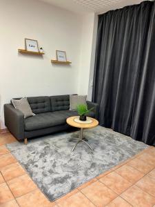 Spacious Apartment in Vienna Center