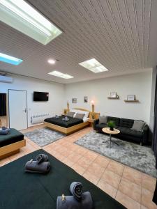 Spacious Apartment in Vienna Center