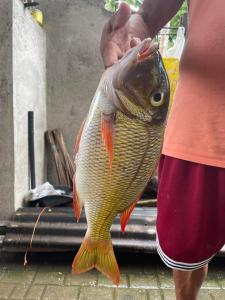 Luxury Place in Paradise Island