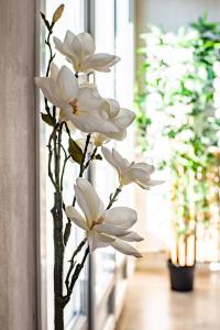 Appartements Le Chateaubriand - Parking - Netflix : photos des chambres