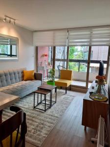 Luminoso y acogedor departamento en Pucón