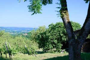 Gîte de France Belleviste 3 épis - Gîte de France 10 personnes MAE-1521