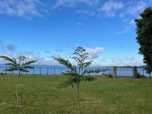 Mantilhue Lago Puyehue CabaƱa