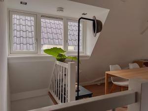 New V Luxury Apartment