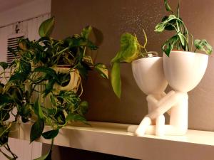 Appartement 1 Chambre
