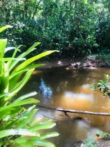 Sitio piscina natural, lago, rio