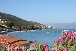 Beau studio Routes des Sanguinaires proche de la plage