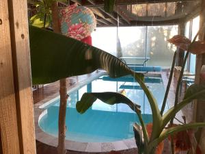 Wooden house with indoor pool