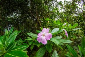 La Juana Posada en Tenjo