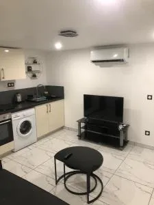 Cozy and well located apartment - 弗朗斯地区特朗布莱