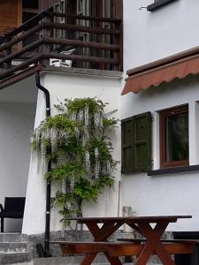 Villa Bianca Bormio garden and parking