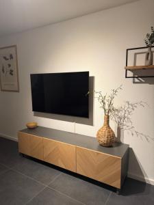 Alpinelounge -modern - spacious