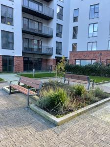 Cozy room in a shared apartment