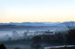 Des Racines et des Rêves - Duffort