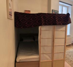 Atmospheric 46m2 apartment