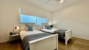 Coastal Escape Watch Horses Pass Walk to Beach