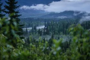 River Safari Eagles Nest - Valemount