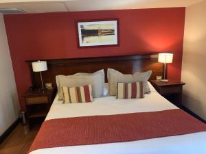 Homely studio apartment in San Luis