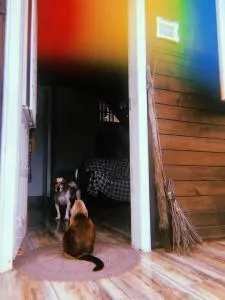 Casa Floripanah - Estêvão