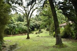 Finca Villa Claudia, La Vega