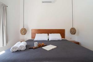 Modern Tropical Villa in Bacalar