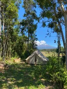 Glamping peumayen - Ralún