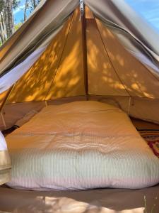 Glamping peumayen