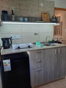 Pehuenche Monoambiente