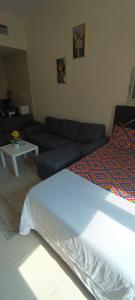 Furnished daily studio basis