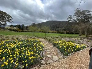 Treetops at Harrietville - Dartmouth