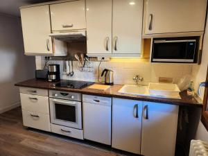 Chalet Largentiere - 2 pièces 4 personnes 3 expo sud MAE-7901