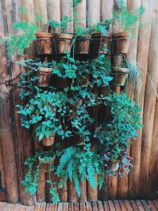 Cabana aconchegante em meio à natureza