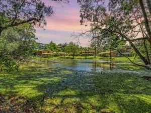 Twin Waters Korora - سابفير بيتش