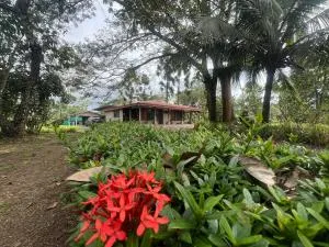 Cabaña La Vega - Quesada