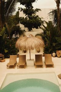 Bungalow Nhìn ra vườn (Bungalow with Garden View)