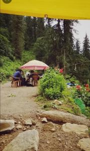 Cafe vee camping point Tosh waterfall