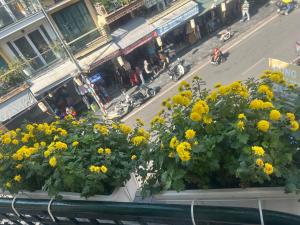 Old Quarter Hostel 71 Hàng Đào