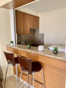 Gray dAlbion POL519 studio