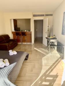 Gray dAlbion POL519 studio