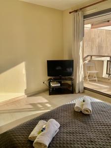 Gray dAlbion POL519 studio