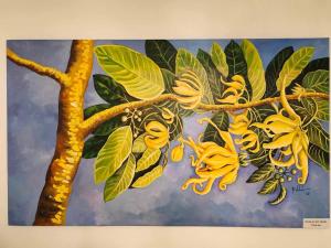 Ragara Beach Resort - Bougainvillea